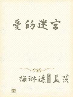 爱的迷宫