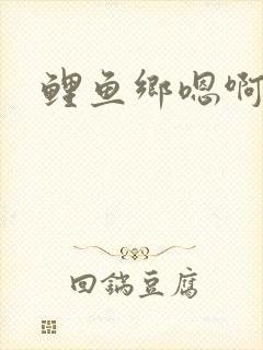 鲤鱼乡嗯啊