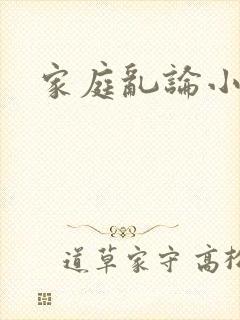 家庭乱论小说