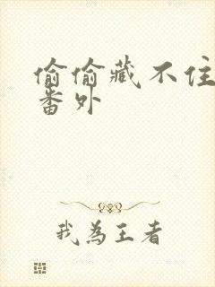 偷偷藏不住新婚番外