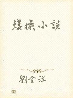 爆操小说