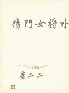 杨门女将外传