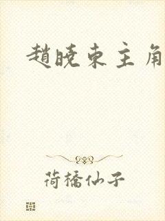 赵晓东主角小说