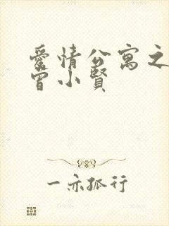 爱情公寓之极品曾小贤