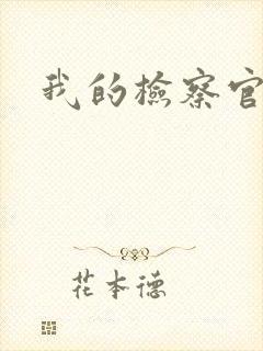 我的检察官先生