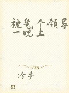 被几个领导玩弄一晚上