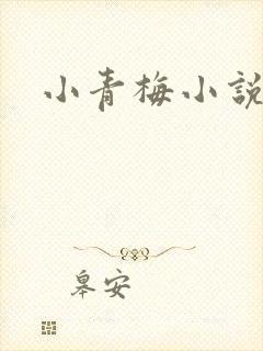 小青梅小说