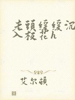 老头缓缓沉腰进入校花h