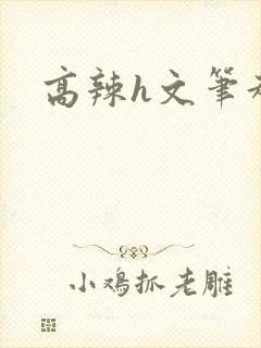 高辣h文笔趣阁