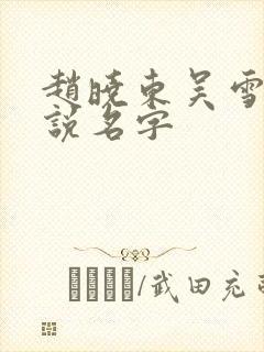 赵晓东吴雪晴小说名字