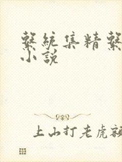 系统集精系统 小说