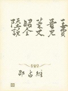 陆昭菱晋王的小说全文免费阅读