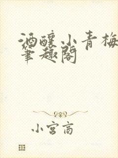 酒酿小青梅po笔趣阁