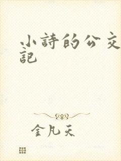 小诗的公交车日记封面
