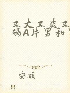 又大又爽又黄无码A片男和男