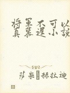 将军不可以魏云真慕迟小说笔趣阁