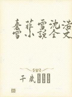 秦菲雪沈浩秦菲雪小说全文免费阅读求书