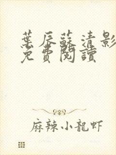 叶辰苏清影全文免费阅读