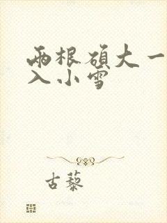 两根硕大一起挤入小雪