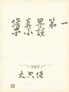 修真界第一病秧子小说