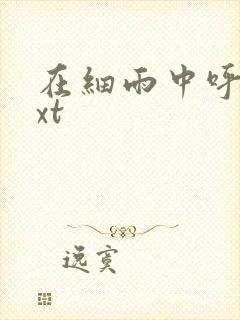 在细雨中呼喊txt