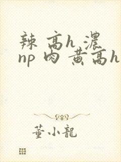 辣 高h 浓 np 肉 黄高h
