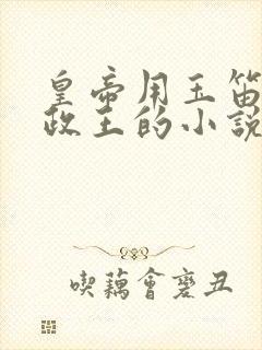 皇帝用玉笛整摄政王的小说