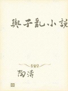 与子乱小说