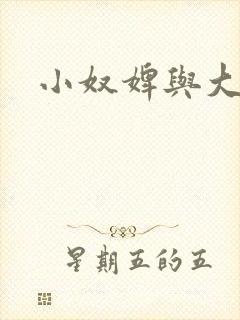 小奴婢与大少爷