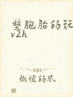 双胞胎的玩具1v2h