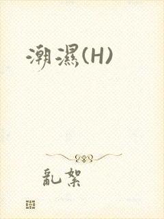 潮湿(H)