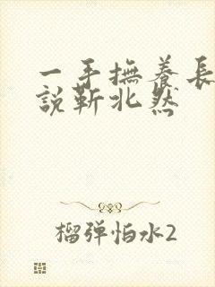 一手抚养长大小说靳北然