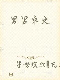 男男车文