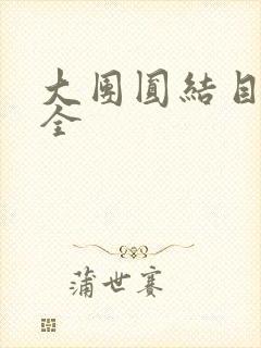 大团圆结目录大全