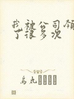 我被公司领导C了很多次