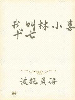 我叫林小喜今年十七