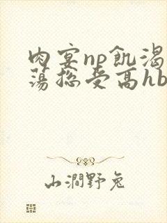 肉宴np饥渴放荡总受高hbl