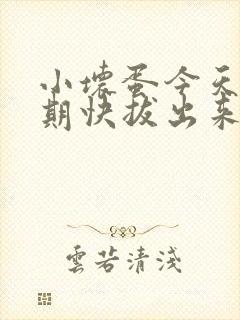 小坏蛋今天危险期快拔出来