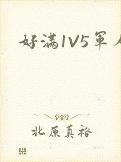 好满1V5军人