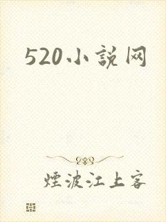 520小说网