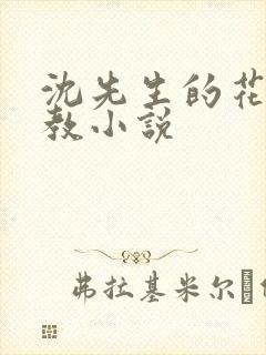 沈先生的花式管教小说