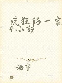 疯狂的一家ps4小说