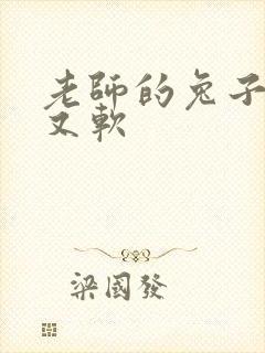 老师的兔子又大又软