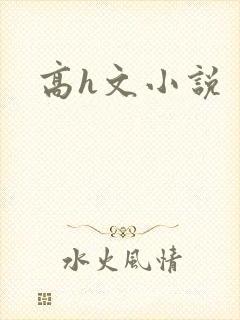 高h文小说