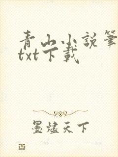 青山小说笔趣阁txt下载