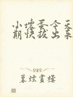 小坏蛋今天危险期快拔出来