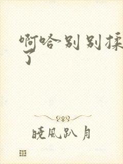 啊哈别别揉那处了