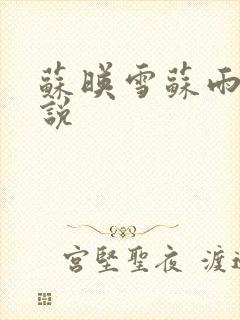 苏映雪苏雨柔小说封面