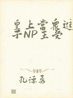 皇上当众进入太子NP主受