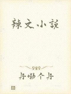 辣文小说